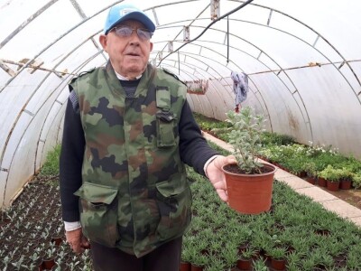 Park prijateljstva u Medoševcu - raj za ljubitelje cveća