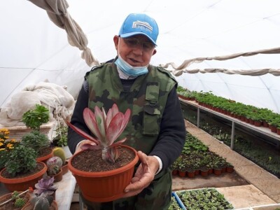 Park prijateljstva u Medoševcu - raj za ljubitelje cveća