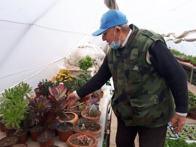 Park prijateljstva u Medoševcu - raj za ljubitelje cveća