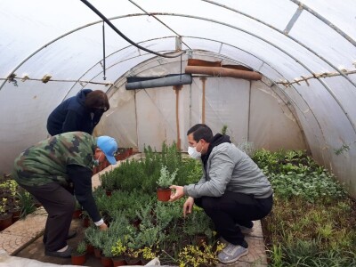 Park prijateljstva u Medoševcu - raj za ljubitelje cveća