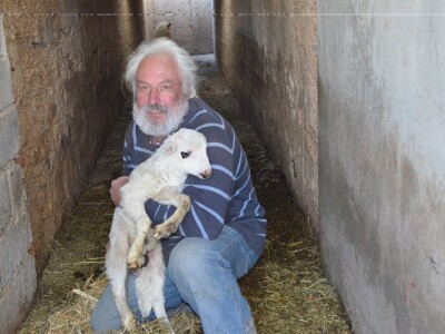 Paške uskrsne trpeze bez Žamaka