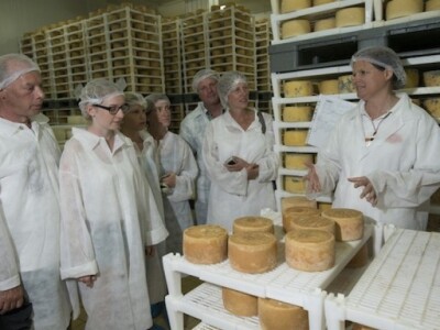 Paški sir u sirani Gligora