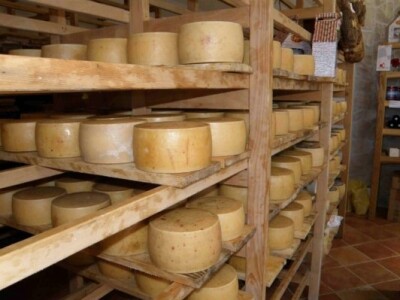 Paški sirevi Gligora u zrionici