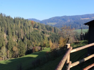 Pašnjaci i šume farme Bauernhof Leitner iznad 1000m/nv