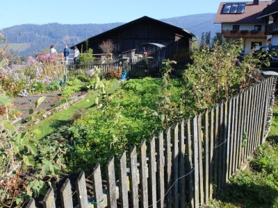 Pašnjaci i šume farme Bauernhof Leitner iznad 1000m/nv