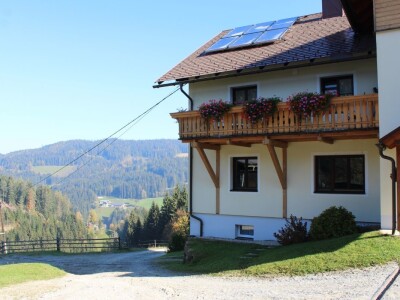 Pašnjaci i šume farme Bauernhof Leitner iznad 1000m/nv
