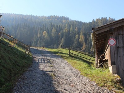Pašnjaci i šume farme Bauernhof Leitner iznad 1000m/nv