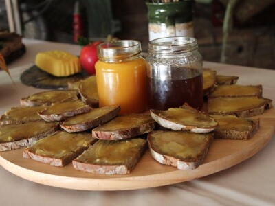 Pašnjaci i šume farme Bauernhof Leitner iznad 1000m/nv
