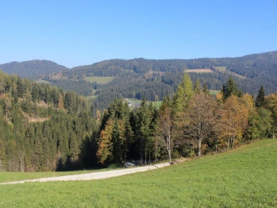 Pašnjaci i šume farme Bauernhof Leitner iznad 1000m/nv