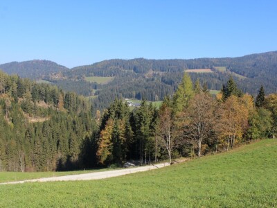 Pašnjaci i šume farme Bauernhof Leitner iznad 1000m/nv