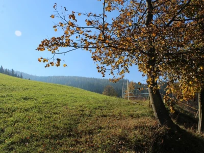 Pašnjaci i šume farme Bauernhof Leitner iznad 1000m/nv