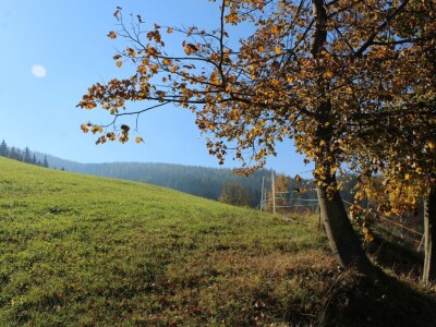 Pašnjaci i šume farme Bauernhof Leitner iznad 1000m/nv