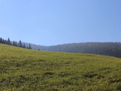 Pašnjaci i šume farme Bauernhof Leitner iznad 1000m/nv