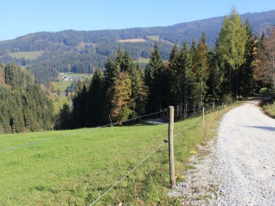 Pašnjaci i šume farme Bauernhof Leitner iznad 1000m/nv