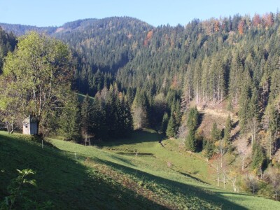 Pašnjaci i šume farme Bauernhof Leitner iznad 1000m/nv