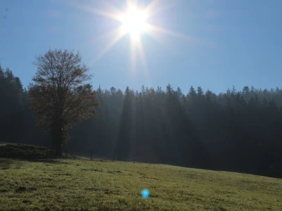 Pašnjaci i šume farme Bauernhof Leitner iznad 1000m/nv