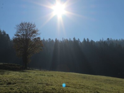 Pašnjaci i šume farme Bauernhof Leitner iznad 1000m/nv