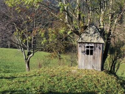 Pašnjaci i šume farme Bauernhof Leitner iznad 1000m/nv