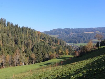 Pašnjaci i šume farme Bauernhof Leitner iznad 1000m/nv