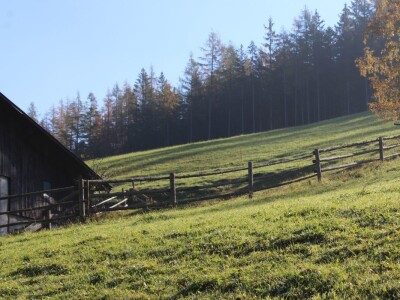 Pašnjaci i šume farme Bauernhof Leitner iznad 1000m/nv