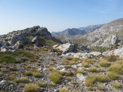 Pašnjaci na Velebitu Pašnjaci na Velebitu