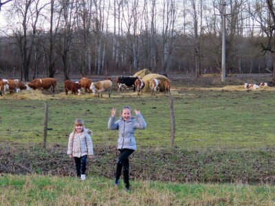 Pašnjak Dragana Marjanovića