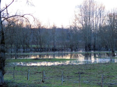 Pašnjak Dragana Marjanovića