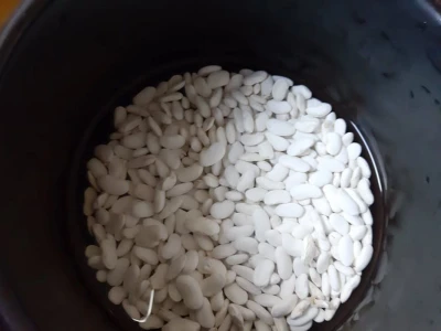 Pasulj