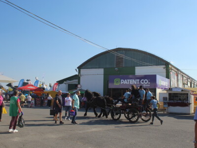 Patent Co. na Bjelovarskom sajmu