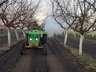 Patent za zadimljavanje stabala - "Zmaj"