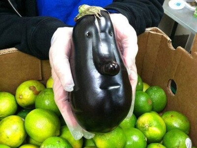 Čovjekoliki patlidžan