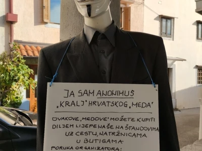 Patvorine meda