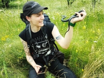 Pauk nije bauk i druge priče iz šetnji s biologinjom