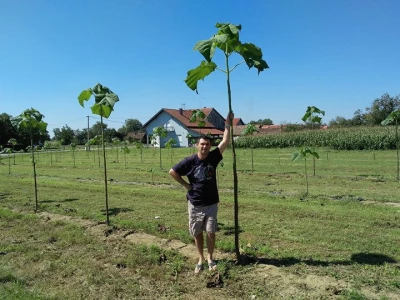 OPG Kruno Pavlović