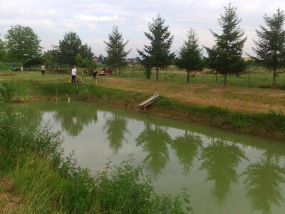 U ribnjaku ima više vrsta riba