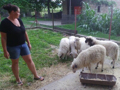 Katarina uzgaja i janjiće