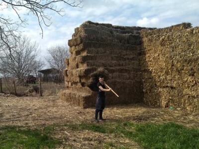 Pavle Avramović, stočar iz Neradina