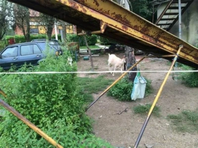 Zapuštena farma