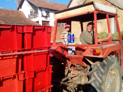 Djed Ivan i unuk Stjepan