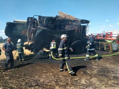 Pažari na usevima pšenice u Hrvatskoj