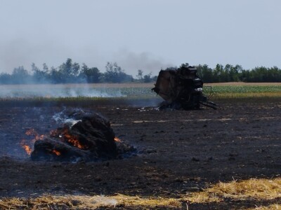 Pažari na usevima pšenice u Hrvatskoj