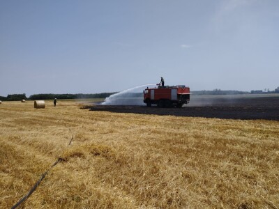 Pažari na usevima pšenice u Hrvatskoj