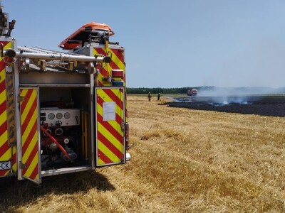 Pažari na usevima pšenice u Hrvatskoj