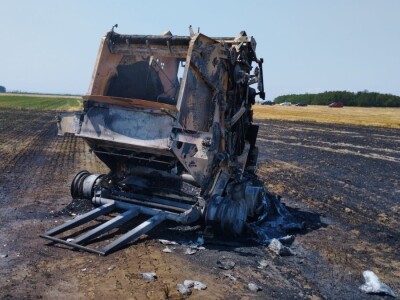 Pažari na usevima pšenice u Hrvatskoj