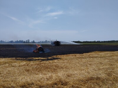 Pažari na usevima pšenice u Hrvatskoj