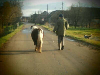 Psi nam pomažu, a država odmaže