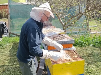 Pčelar Damir Sertić Pčelar Damir Sertić