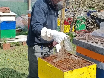 Pčelar Damir Sertić Pčelar Damir Sertić