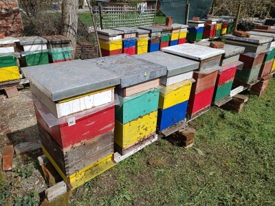 Pčelar Damir Sertić Pčelar Damir Sertić