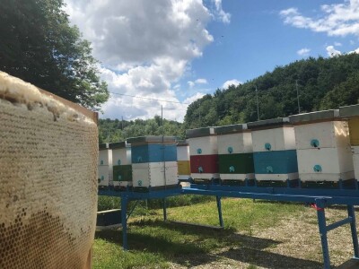 Pčelar Dino Haračić